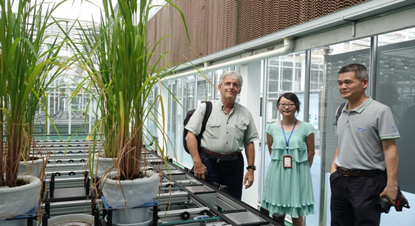 意大利博洛尼亞大學教授Roberto Tuberosa參觀考察AgriPheno平臺